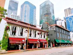 Telok Ayer Street (D1), Shop House #573914271